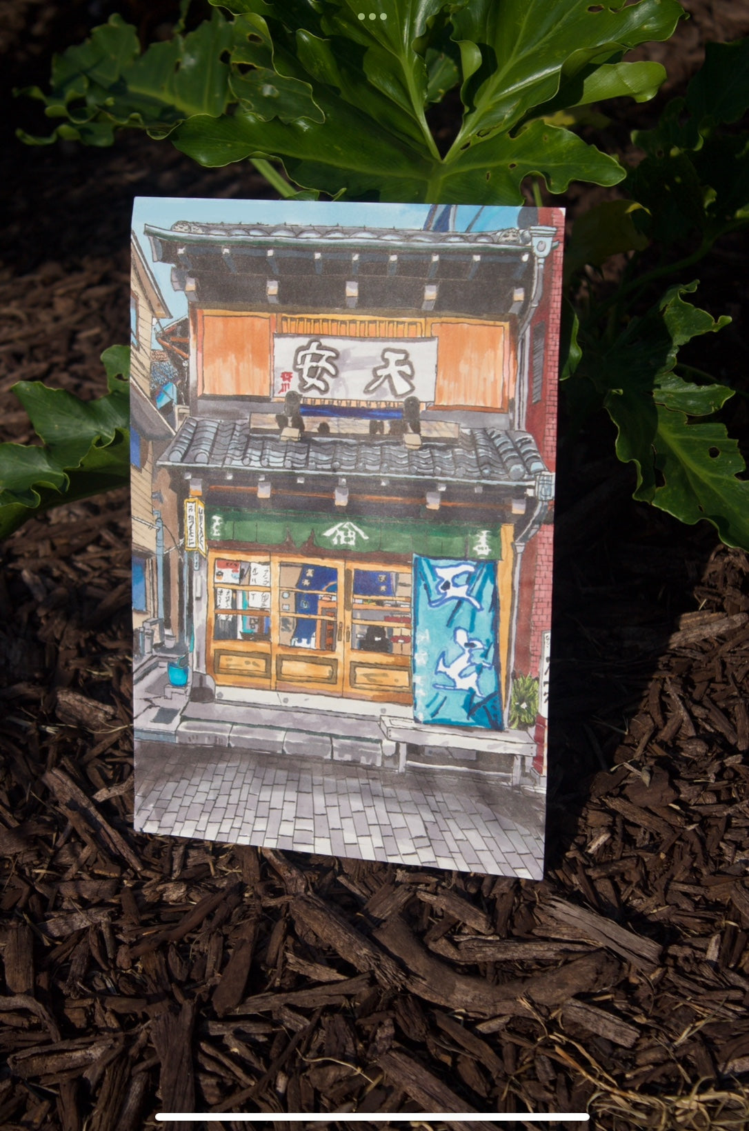 Storefront | Original